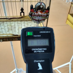 Criatório Bico de Ouro