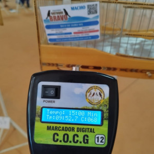 Criatório Bico de Ouro