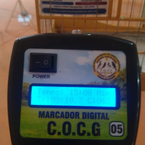 Criatório Bico de Ouro