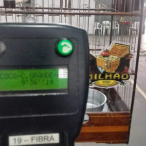 Criatório Bico de Ouro