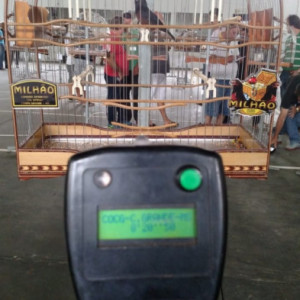 Criatório Bico de Ouro