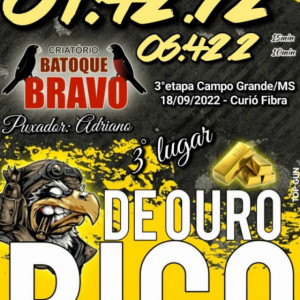 Criatório Bico de Ouro