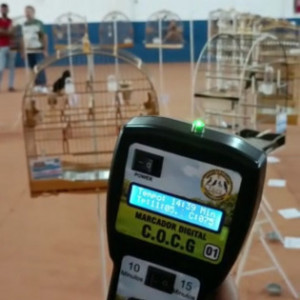 Criatório Bico de Ouro