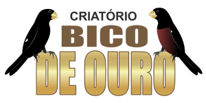 Criatório Bico de Ouro - Bicudo e Curió - Campo Grande